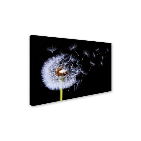 Bess Hamiti 'Dandelion Blowing' Canvas Art,12x19